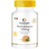 WARNKE VITALSTOFFE Nattokinase 100mg - 2000 FU - altamente dosato - vegan - 250 compresse | Warnke Vitalstoffe - Qualità da farmacia tedesca