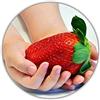 Samenquelle.de Fragole giganti - Fragaria Ananassa - Semi di fragole - 50 semi - La più grande fragola del mondo - Sapore intenso - Ricco di vitamine