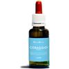 NATUR Srl CORAGGIO FOBIE NATUR MIX 30 ML