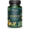 Vegavero NOOTROPICO Potente | con Ginkgo Biloba, Bacopa Monnieri, Ginseng e Omega 3 | Nootropic per Memoria e Concentrazione | senza Additivi e senza Caffeina | 90 capsule (3 mesi) | Vegan | Vegavero®