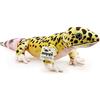 Zappi Co Peluche Geco Leopardo (65cm) - Morbido per Bambini, Compagno di Gioco Stile Stampato