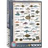 EuroGraphics Pesce di mare