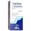 Canfora (new.fa.dem.)*soluz ial 100 ml 10%