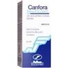 Canfora (new.fa.dem.)*sol oleosa 100 ml 10%
