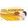 OLIVERIO STILO COMPANY SRL Collagenex Plus 10 Flaconcini Da 50ml Oliverio Stilo Company Srl