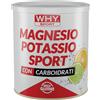 WHY SPORT MAGNESIO E POTASSIO 300G in Polvere