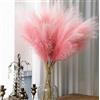 GEFIRE Pampas Verde Artificiale 30 Pezzi Pampas Decorative Alte 55 cm Finti Soffici e Soffici Erba di Pampa Decorativa per Matrimonio Soggiorno Boho Arredamento Casa (Pendenza rosa)