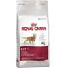 Royal Canin Feline Fit 32 Cibo Secco per Gatti 400 g