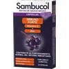 NAMED Srl SAMBUCOL IMMUNOFORTE 30 CAPSULE