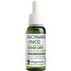 Attivo Puro LA Saponaria La Saponaria Niacinamide + Zinco 30 ml Siero