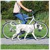 TRIXIE Guinzaglio da bicicletta e jogging