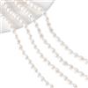 NBEADS 2 fili 49pz/filo di Perle D'Acqua Dolce Coltivate Naturali, 4~5mm Perle D'Acqua Dolce Ovali Naturali per Artigianato Fai Da Te Che Fanno Gioielli Bracciali Collane Orecchini, Riso, Bianco Crema