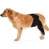 KINBOM Supporto per Cani Zampe Posteriori, Tutore per Cani Zampe Posteriori Tutore ACL per Zampe Posteriori per Cani Ginocchiere per Cani per Zampe Posteriori per Cani (Nero, Taglia M)