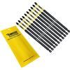 SabreCut 10 x SabreCut SCPZ2152_10 152mm PZ2 Set di punte per cacciavite a impatto magnetico Pozi Pozidriv resistente compatibile con Dewalt Milwaukee Bosch Makita e altro