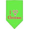 Mirage Pet Products - Bandana per animali domestici, motivo: cuore, colore: verde lime