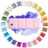 Paul Rubens Pitture ad Acquerello, Colori Solidi Glitter per Artista- Custodia in Metallo Portatile Rosa con Palette-24 Colori Set