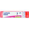 LABORATOIRES BOIRON Srl LACHESIS MUTUS 7 CH GRANULI