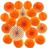 ZERODECO Ventilatori di Carta Decorazione Pompons e Palle a Nido d'Ape per Decorazione della Festa Nuziale Nozze Nidi Tatuaggi Nuziale Doccia Camera della Decorazione della Parete