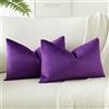 JOTOM Set Di 2 Fodere In Velluto Morbido Solido Fodere Di Cuscino Decorativo Cuscino Fodere Per Cuscini Da Letto Per La Decorazione Della Casa Per Divano Camera Da Letto 40x60 cm(Viola)