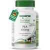 fairvital PEA 400 mg, 90 capsule, palmitoiletanolamide, per 3 mesi, qualità testata e dosaggio sicuro, 100% vegano, Made in Germany