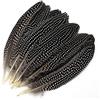 Mwoot 20pcs Natural Speckled Feathers, Piume di Fagiano per gioielli Artigianato e Decorazione di Cappello Spettacolo Tempo Libero Arte (15-20 cm)