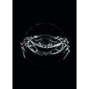 Komar WTD P080D-P080D-P080D-50 x 70 cm - Poster da Parete per Soggiorno, Camera da Letto, Senza Cornice, P080D-50 x 70 cm, Dimensioni: 50 x 70 cm (Larghezza x Altezza)