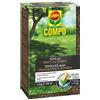 COMPO SEMI per Prato in Ombra, Miscela Speciale, Seme Ricoperto, Resistente al Calpestio, 1 kg