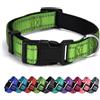 AUDWUD Collare in nylon spesso,collare classico per cani regolabile in più colori,adatto per cani di piccola,media e grande taglia,4 taglie