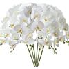 FagusHome 6 Pz Fiori Orchidea Phalaenopsis Fiori Artificiali 80cm Artificiali Phalaenopsis Fiori Orchidea Artificiali Pianta Finta per Decorazione (6 Pz)