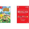 Nintendo Animal Crossing: New Horizons & 90 Giorni Switch Online Membri (Individual) Codice download