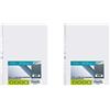 Favorit Buste Perforate, Lucide, Alto Spessore, 30 x 42 cm, 10 Pezzi, Trasparenti (Confezione da 2)