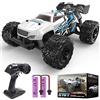 DEERC RC Auto, Monster Truck Telecomandato con 2 Batterie per 40 Minuti di Riproduzione, 2,4 GHz Fuoristrada RTR Rock Crawler Giocattolo Regalo per Ragazzi Ragazze Bambini Principianti