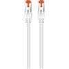 Ewent Cavo Ethernet di Rete Patch Cat 6 S/FTP, Trasmissione Fino a 1Gigabit, AWG 27/7, Doppia Schermatura, 2 Connettori RJ45. Ideale per Trasmissione Fibra Ottica con regi Gigabit/LAN, 5m