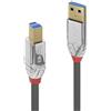 Lindy 36664 Cavo USB 3.0 Tipo A a B Cromo Line, 5m, Grigio