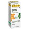 SPECCHIASOL SRL Epid Spray Orosolubile Aloe 15 Ml