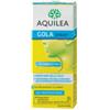 URIACH ITALY SRL Aquilea Flu Spray Gola 20 Ml