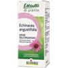 BOIRON SRL Echinacea Ang Estratti Di Piante Boiron Ei 60 Ml