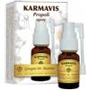 DR.GIORGINI SER-VIS SRL Karmavis Propoli Spray 15 Ml