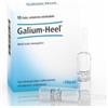 GUNA SPA Heel Galium 10 Fiale Da 1,1 Ml L'una