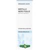 ERBA VITA GROUP SPA Mirtillo Rosso Foglie Soluzione Idroalcolica 50 Ml Ebv