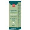 ERBA VITA GROUP SPA Valeriana Radici Soluzione Idroalcolica 50 Ml