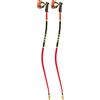 LEKI WCR SG/DH 3D Racchette Sci
