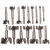 Bosch FB1600 servizio di legno Forstner bit set