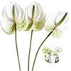 Rikyo Fiori artificiali di giglio di anthurium da 66 cm, 3 fiori tropicali imitazione piante bouquet per centrotavola e decorazioni per matrimoni, festival, composizioni floreali (bianco)