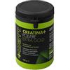 Watt CREATINA+ POLVERE EXTRAGOLD 100 G