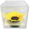 Passionefiori.it Cubo girasole stabilizzato 12 cm con fondo effetto acqua - eterno, idea regalo per fidanzata, mamma, Natale, compleanno, fidanzato, per lei (12 cm)