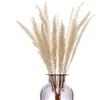 HUAESIN 30pcs Erba Pampas Secca, Pampas Artificiale Fiori Artificiali Essiccati Fiori Finti Pampa Erba Naturale Fiori Secchi per Decorazioni Natale Matrimonio Festa Casa Giardino(Bianco)