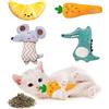 TNSLAND Giocattolo per Gatti Con Erba Gatta - 4 Pezzi Auto-Occupazione Catnip Toy, Cuscino per Gatti