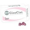 GISSOMA SRL Gisocist 15 Compresse Deglutibili