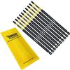 SabreCut 10 x SabreCut SCTX25152_10 152 mm T25 TX25 Set di punte per cacciavite a impatto magnetico Torx Heavy Duty compatibile con Dewalt Milwaukee Bosch Makita e altro